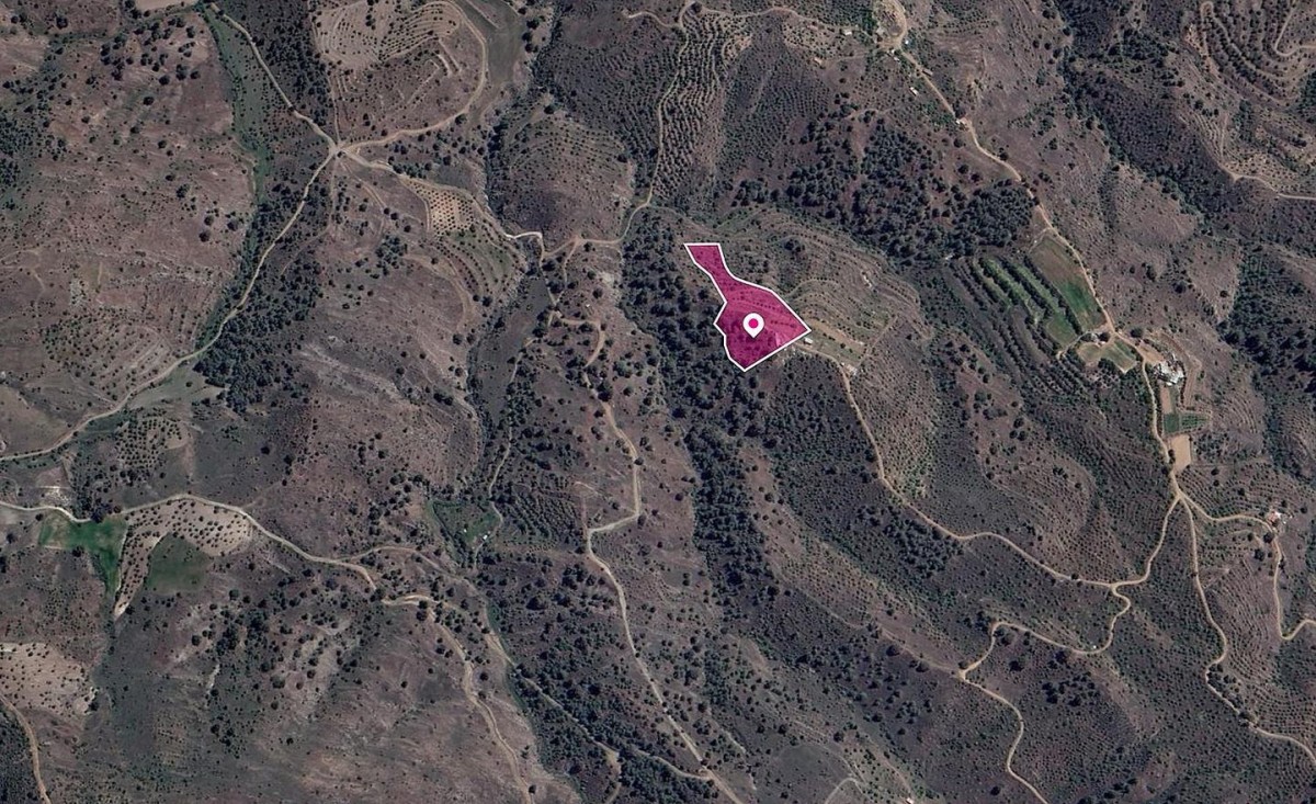Agricultural field, Platanistasa