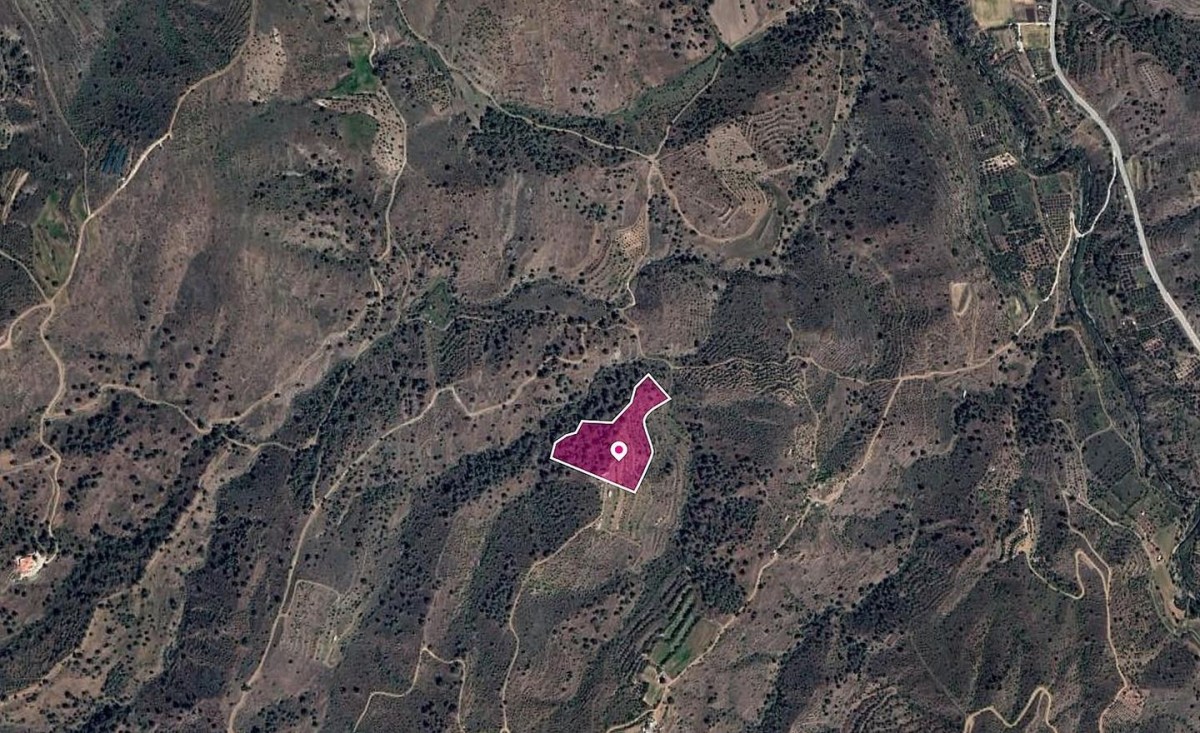 Agricultural field, Platanistasa