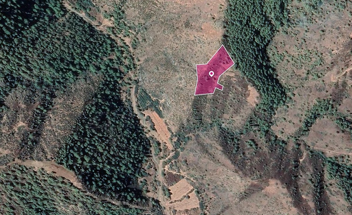 Agricultural field in Pigenia, Nicosia