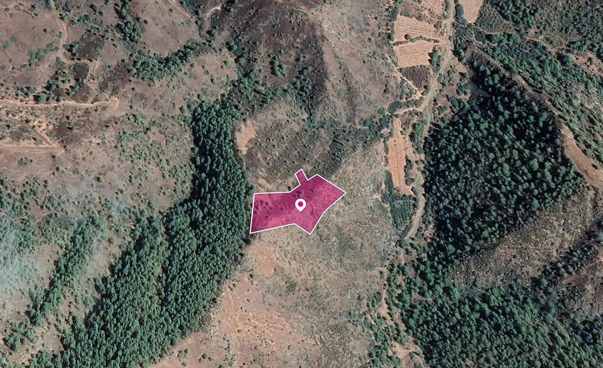 Agricultural field in Pigenia, Nicosia