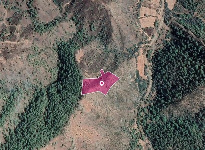 Pigenia, Nicosia Agricultural Field For Sale | WW30272