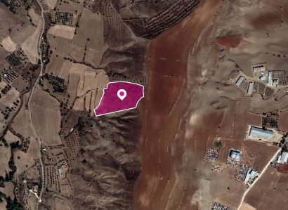 Agrokipia, Nicosia Agricultural Field For Sale | WW30276