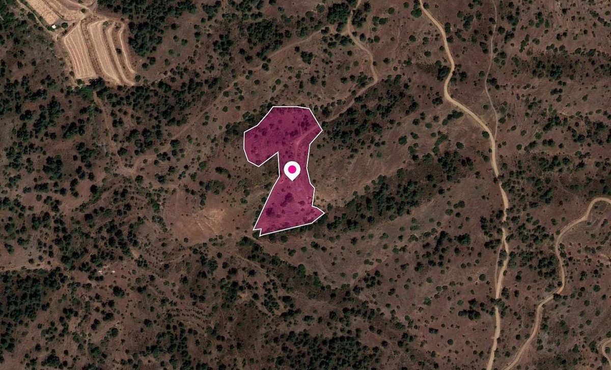 Field in Gourri, Nicosia