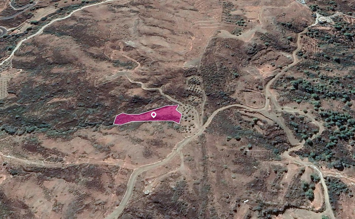 Field in Pano Pyrgos, Nicosia