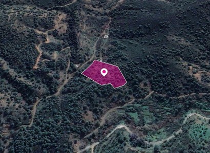 Kampos, Nicosia Agricultural Field For Sale | WW30291