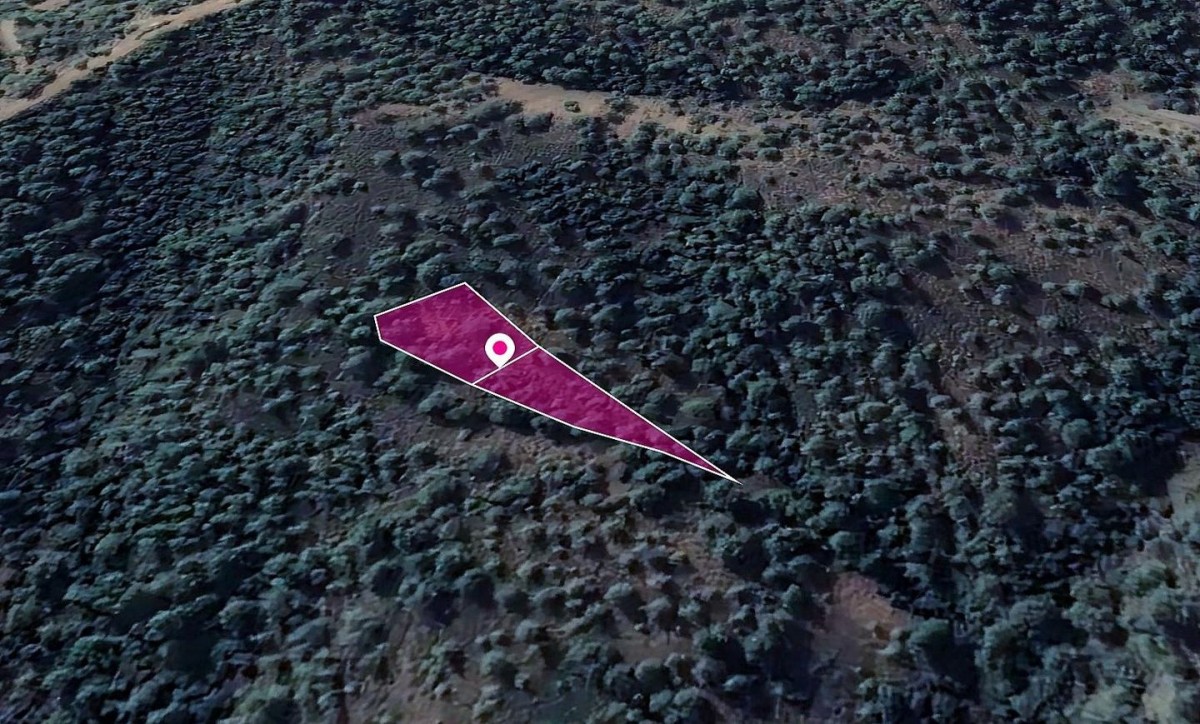 Kampos, Nicosia Agricultural Field For Sale | WW30292