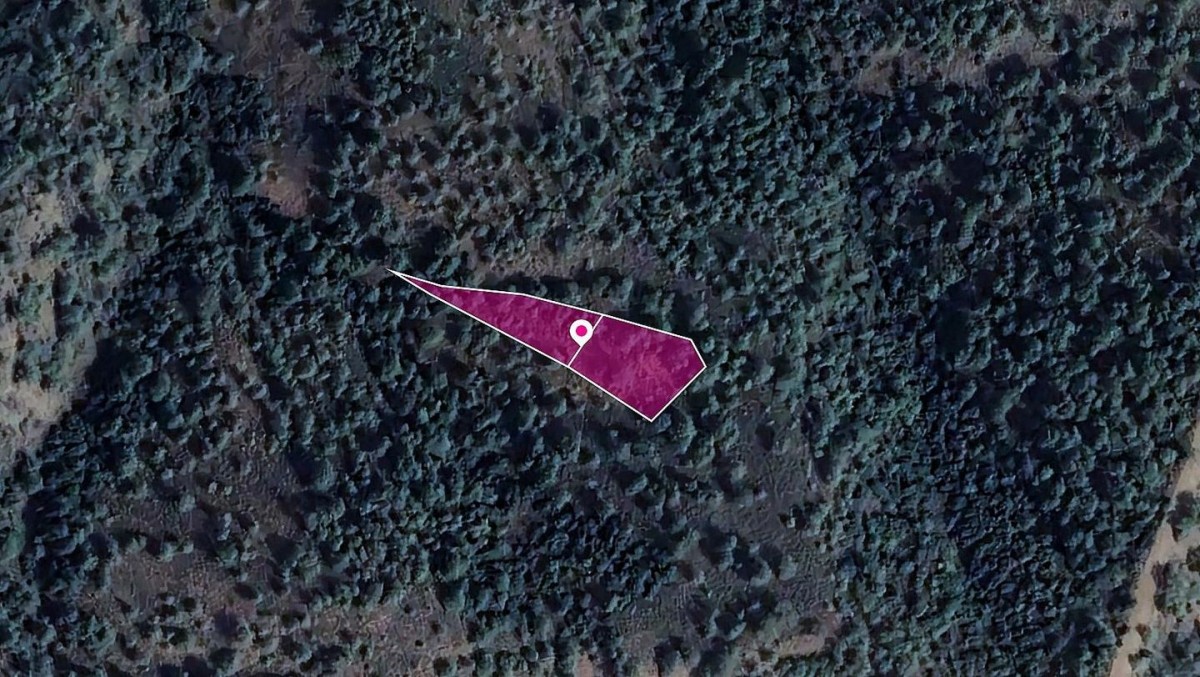 Two Fields in Kampos, Nicosia