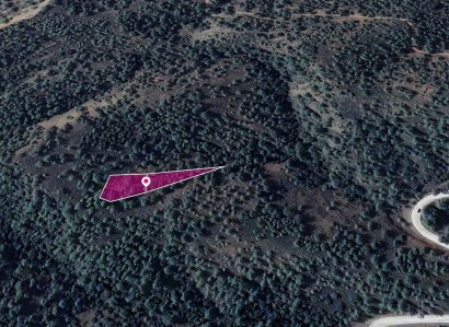 Kampos, Nicosia Agricultural Field For Sale | WW30292