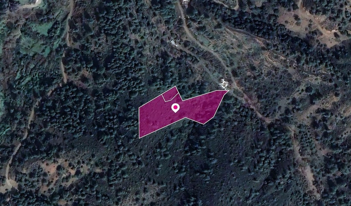 2 x Fields in Kampos, Nicosia