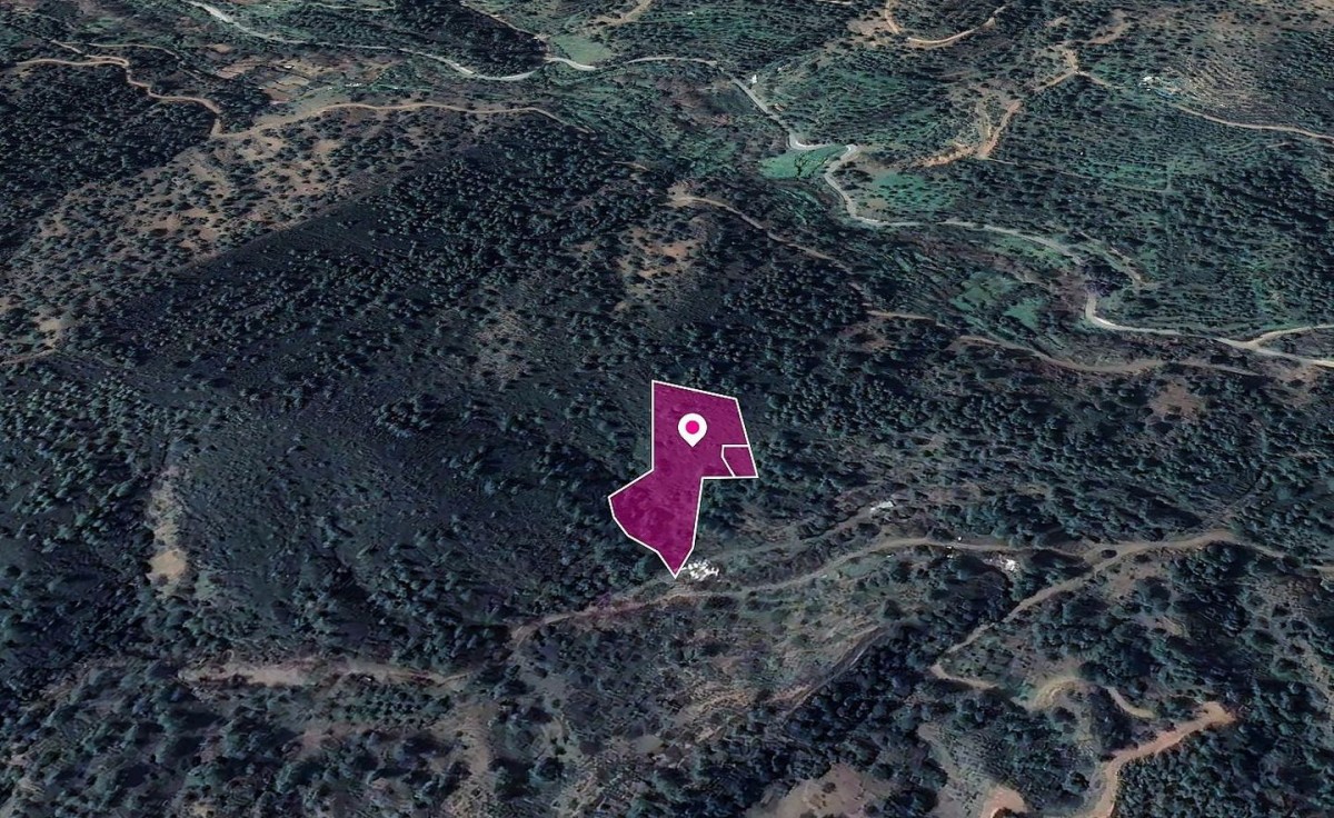 2 x Fields in Kampos, Nicosia