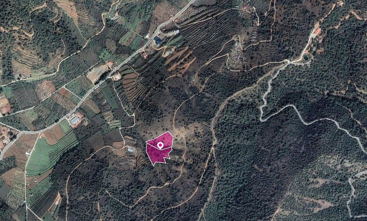 Tsakistra, Nicosia Agricultural Field For Sale | WW30296