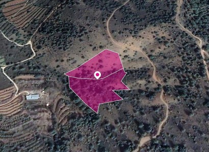 Tsakistra, Nicosia Agricultural Field For Sale | WW30296