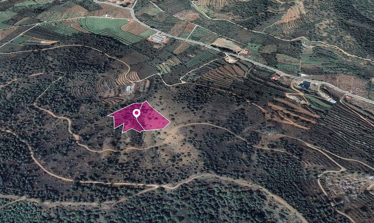 2 x Fields in Tsakistra, Nicosia
