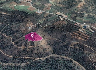Tsakistra, Nicosia Agricultural Field For Sale | WW30296