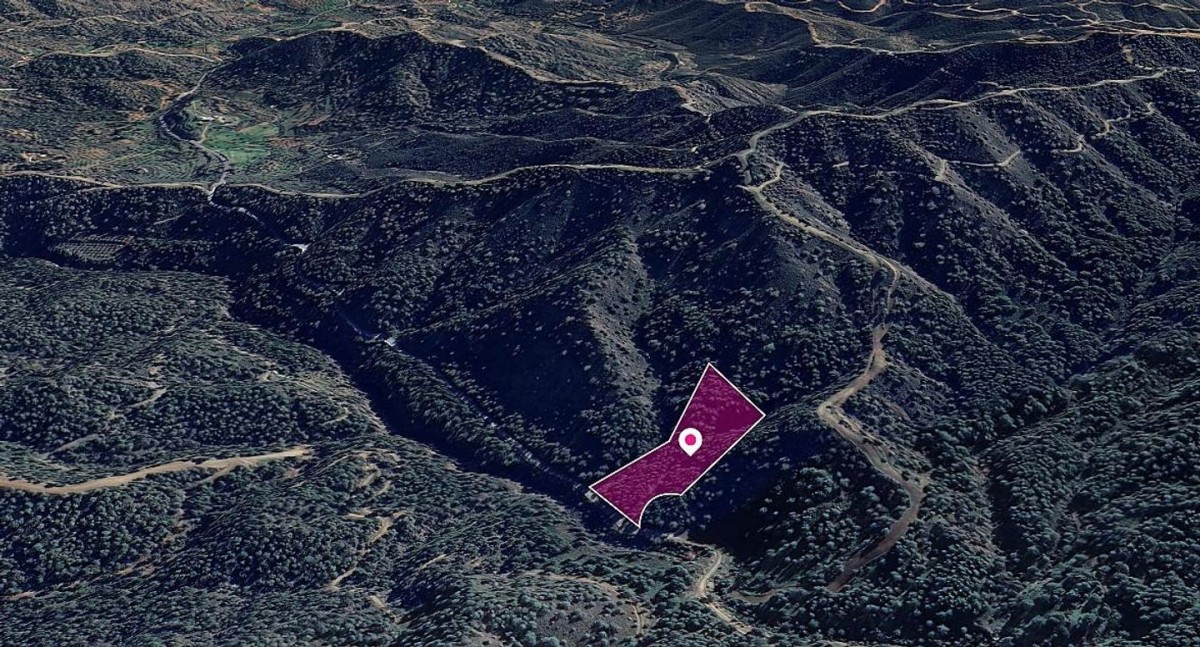 50%  share of agricultural field in Kapedes, Nicosia