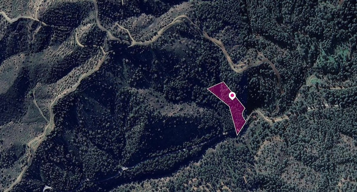 50%  share of agricultural field in Kapedes, Nicosia