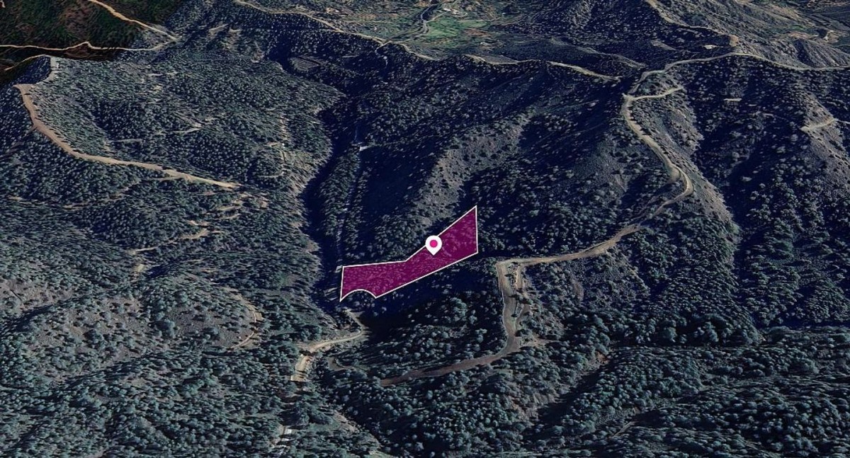 50%  share of agricultural field in Kapedes, Nicosia