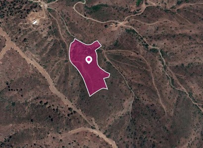 Evrychou, Nicosia Agricultural Field For Sale | WW30300