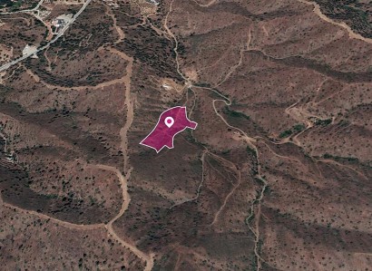 Evrychou, Nicosia Agricultural Field For Sale | WW30300