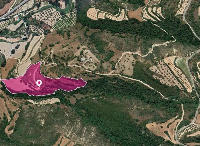 Loukrounou, Paphos Agricultural Field For Sale | WW30307