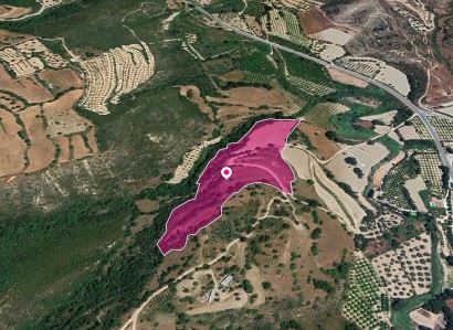 Loukrounou, Paphos Agricultural Field For Sale | WW30307