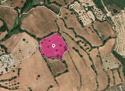 Kato Akourdaleia Agricultural Field For Sale | WW30308