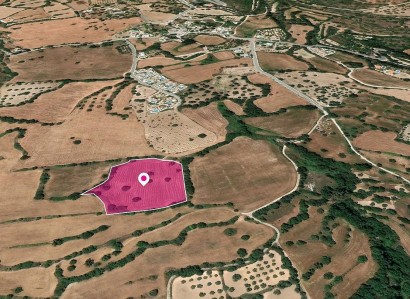 Kato Akourdaleia Agricultural Field For Sale | WW30308
