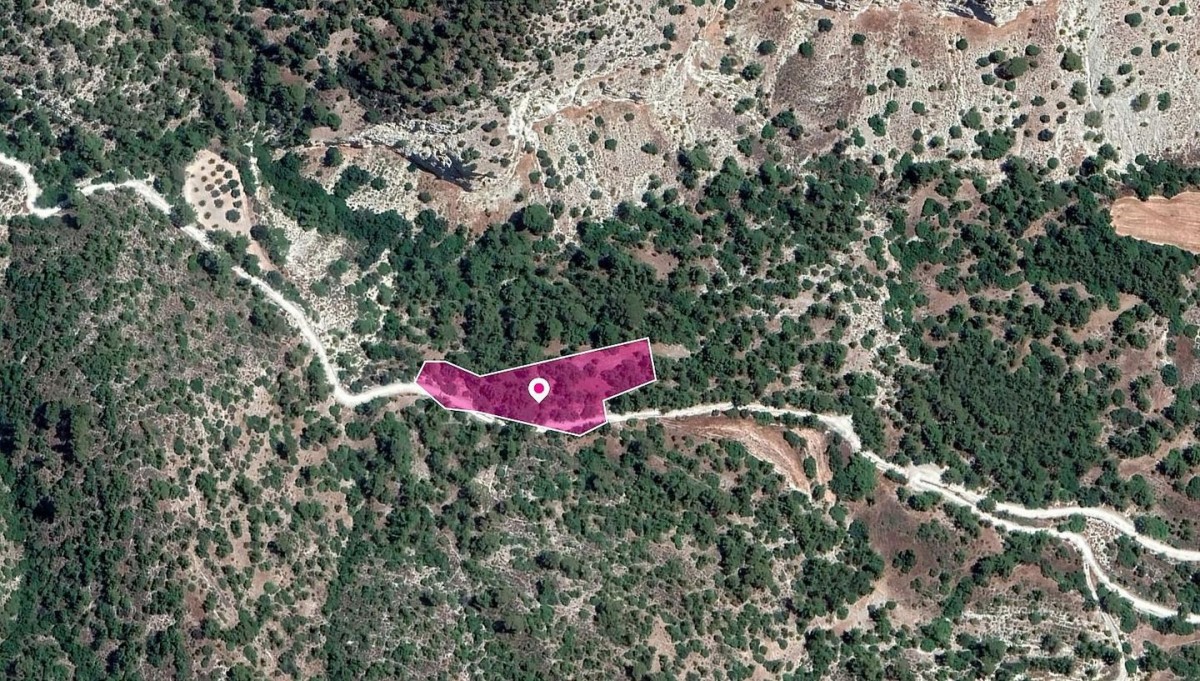 Amargeti, Paphos Agricultural Field For Sale | WW30317