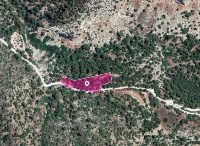 Amargeti, Paphos Agricultural Field For Sale | WW30317