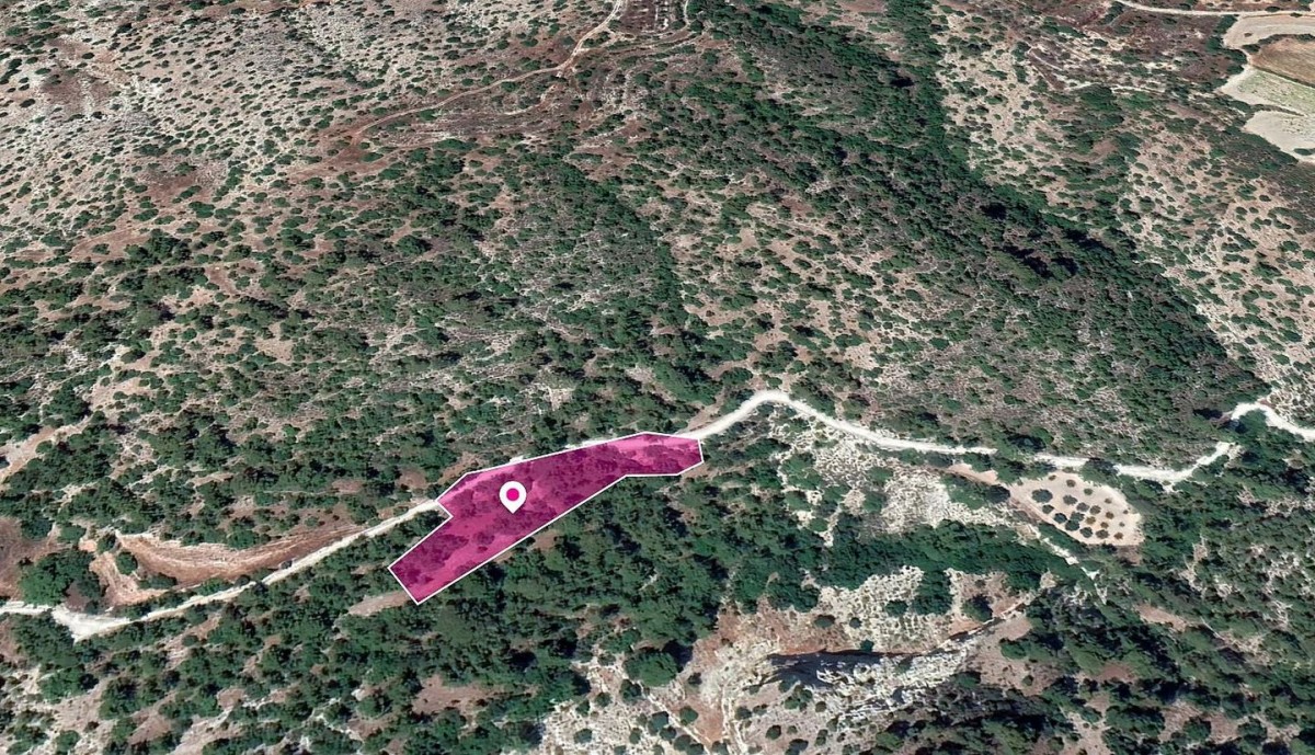 Field in Amargeti, Paphos