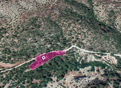 Amargeti, Paphos Agricultural Field For Sale | WW30317