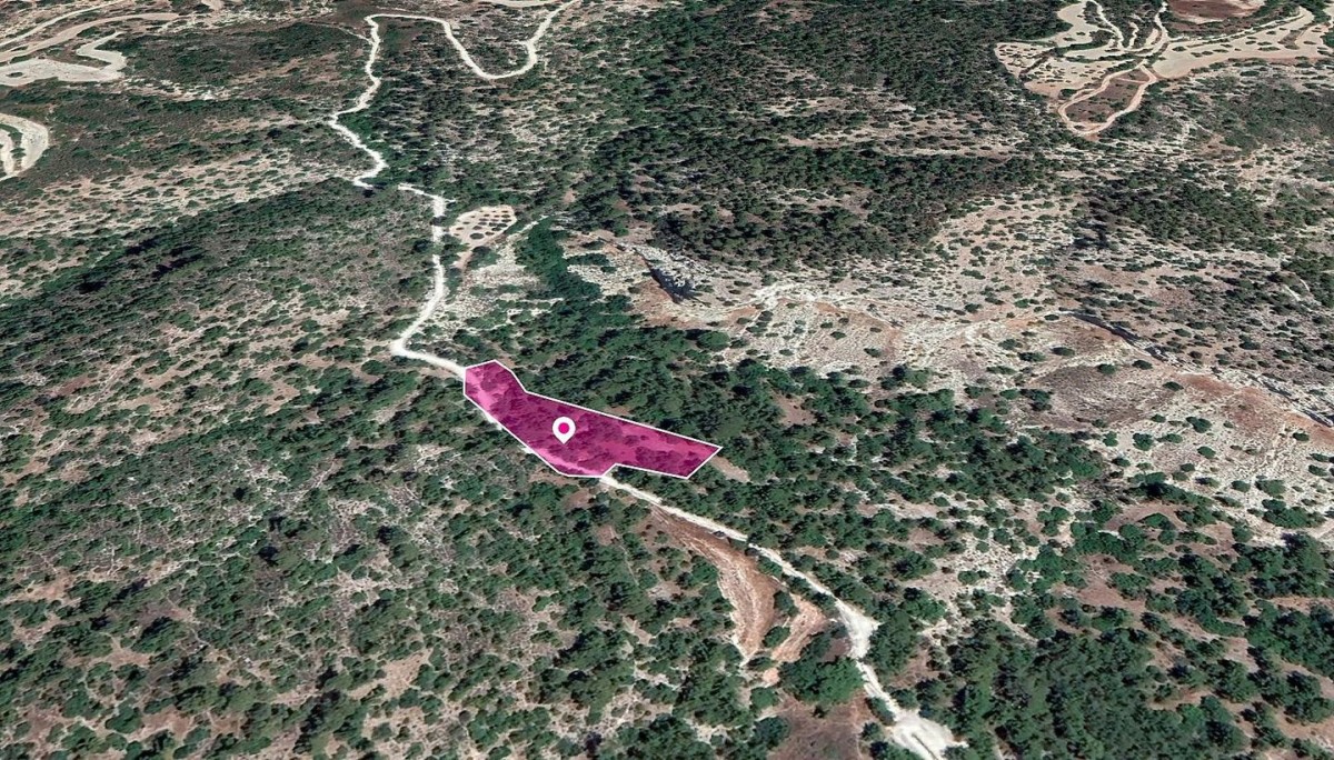 Field in Amargeti, Paphos
