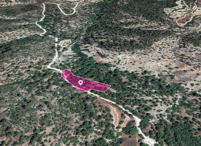 Amargeti, Paphos Agricultural Field For Sale | WW30317