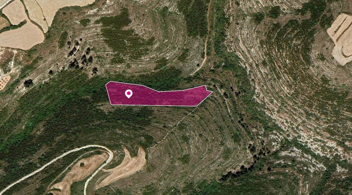 Kathikas, Paphos Agricultural Field For Sale | WW30320