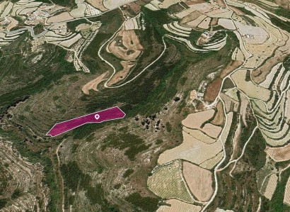 Kathikas, Paphos Agricultural Field For Sale | WW30320