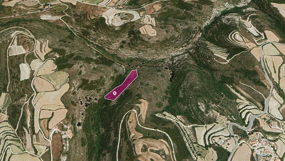 Field in Kathikas, Paphos