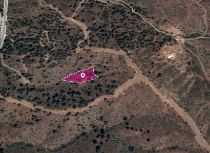 Evrychou, Nicosia Agricultural Field For Sale | WW30321