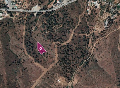 Evrychou, Nicosia Agricultural Field For Sale | WW30321