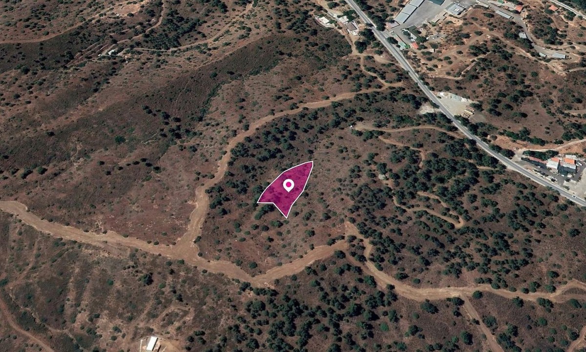 Field in Evrychou, Nicosia