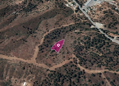 Evrychou, Nicosia Agricultural Field For Sale | WW30321
