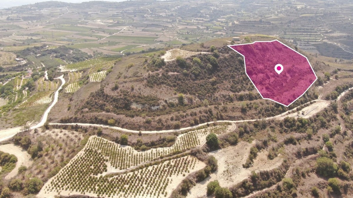 Stroumbi, Paphos Agricultural Field For Sale | WW30322