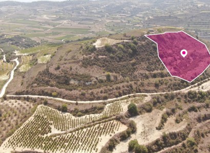 Stroumbi, Paphos Agricultural Field For Sale | WW30322