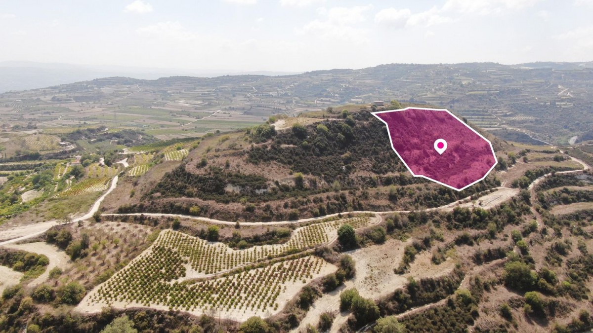 Agricultural Field, Stroumbi, Paphos