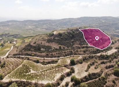 Stroumbi, Paphos Agricultural Field For Sale | WW30322