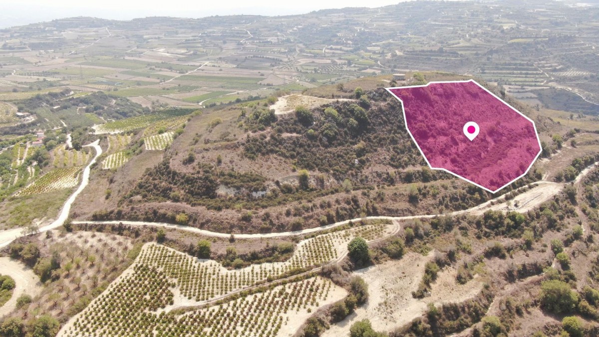 Agricultural Field, Stroumbi, Paphos