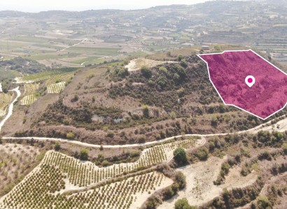 Stroumbi, Paphos Agricultural Field For Sale | WW30322