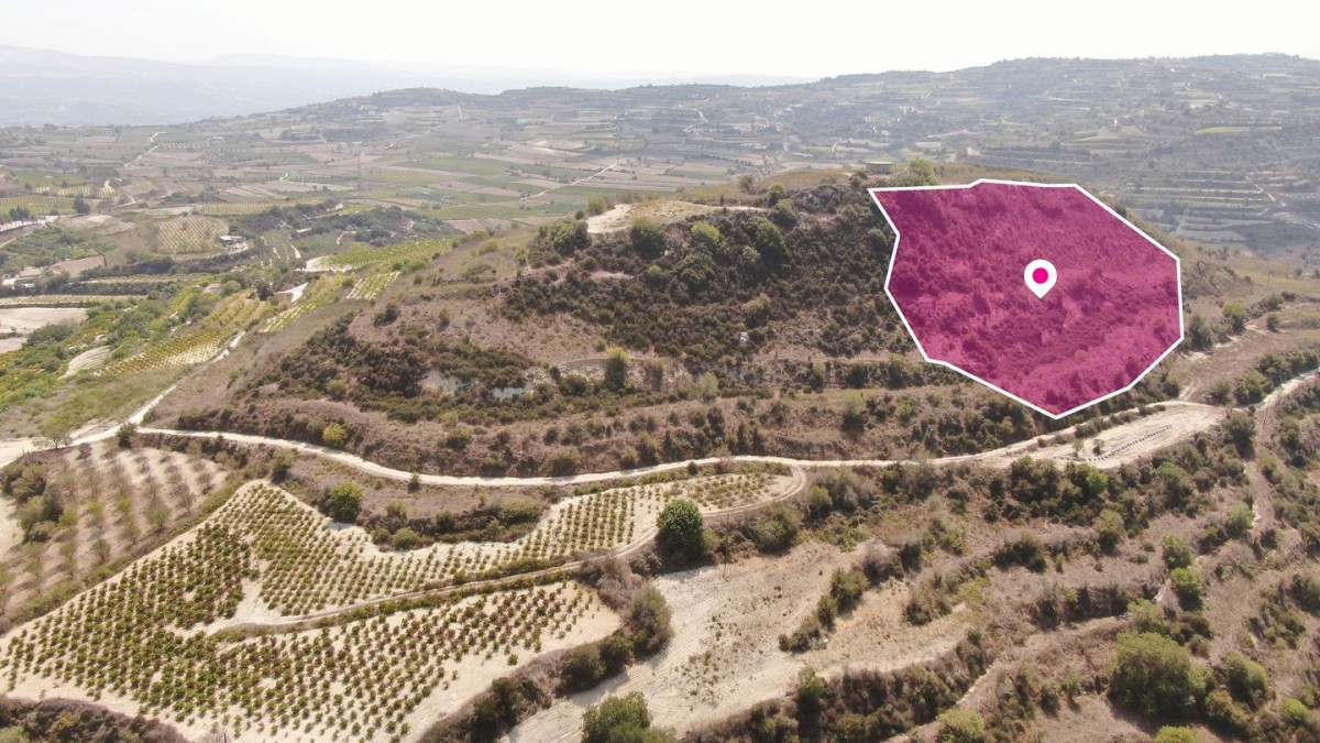 Agricultural Field, Stroumbi, Paphos