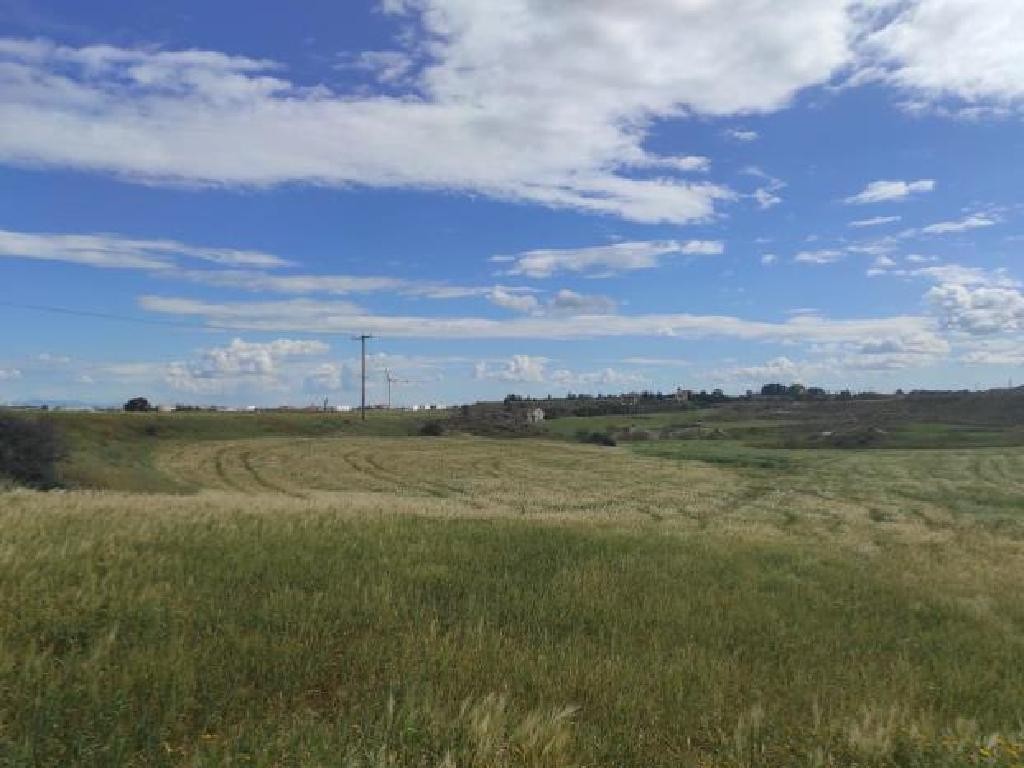 Lakatamia, Nicosia Agricultural Field For Sale | WW30323