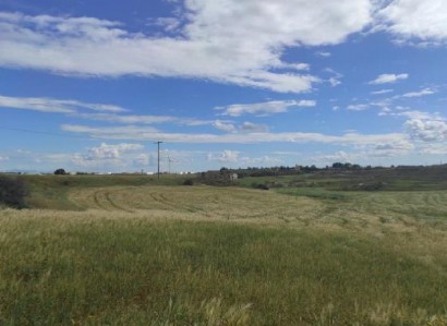 Lakatamia, Nicosia Agricultural Field For Sale | WW30323