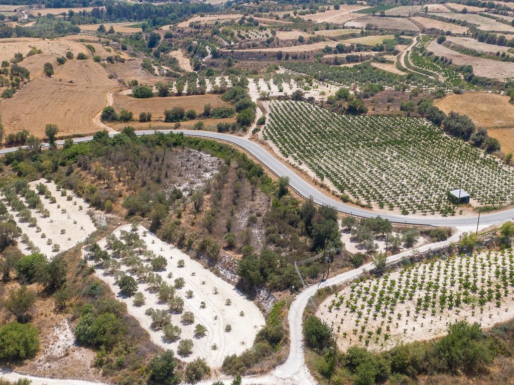 Field - Letymvou, Paphos